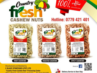 CASHEW NUTS