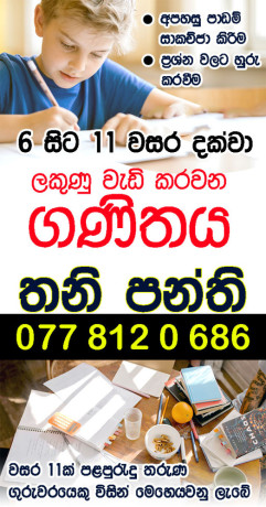 expert-individual-math-classes-for-grade-6-11-sinhala-english-medium-big-1